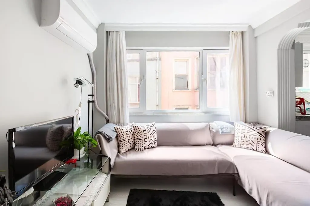 伊斯坦布尔Practical And Cozy Flat Near Taksim Istikal公寓