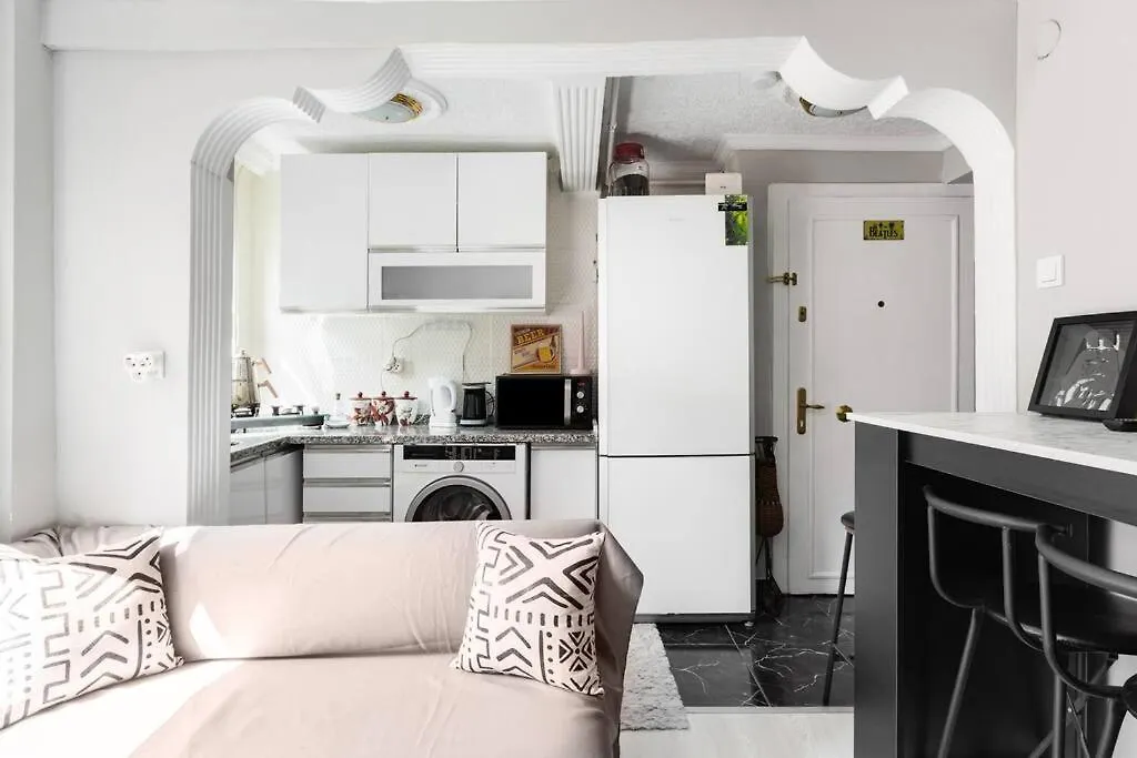 伊斯坦布尔Practical And Cozy Flat Near Taksim Istikal公寓 伊斯坦布尔